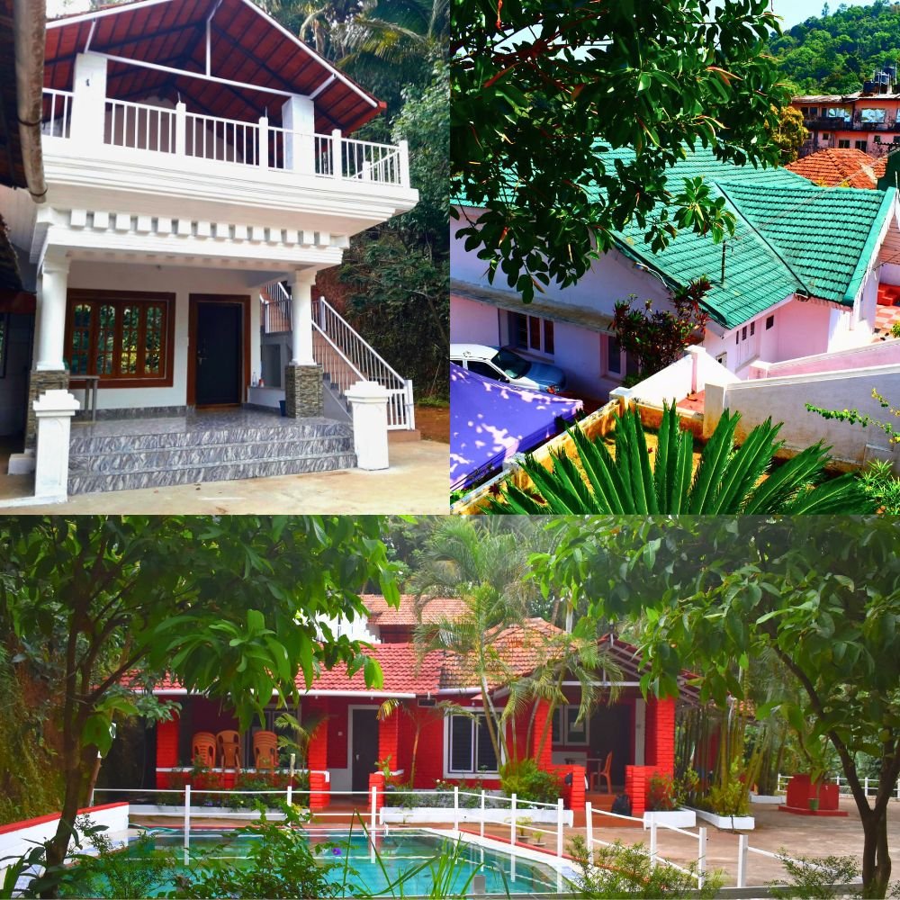 coorg green wings